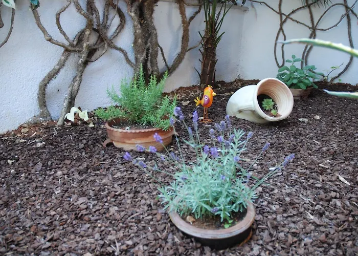 Sea Joy 1 Bed & Breakfast