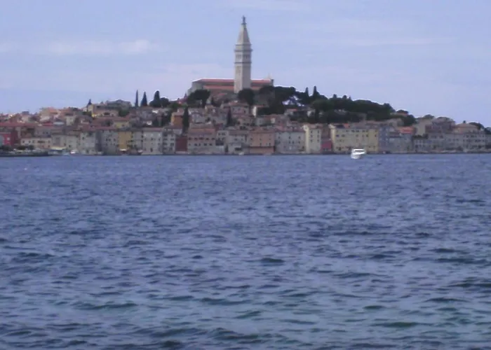 Sea Joy 1 Bed and Breakfast Ρόβινι