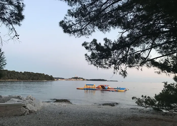 Sea Joy 1 B&B 로비니