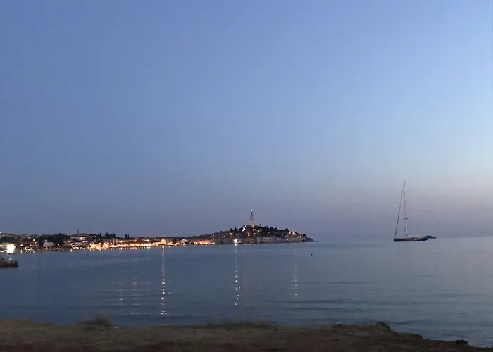 Sea Joy 1 Bed and Breakfast Ρόβινι